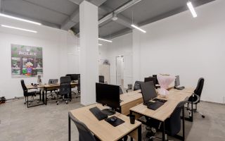 Chirie, spațiu comercial, 440 mp, bd. Decebal, Botanica - Poză 17