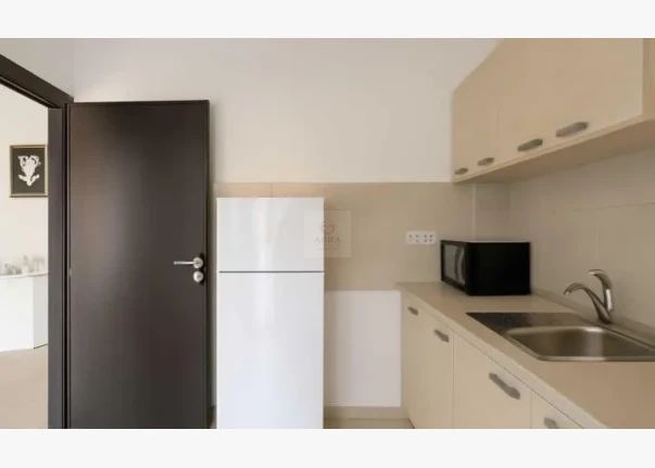 Apartament, tip studio Floreasca - Poză 2