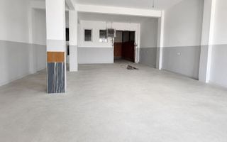 Hală Industrială | 300 MP | Terezian | Acces TIR - Poză 3