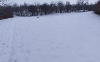 Teren intravilan 2.295 mp, deschidere 60 m – Rășinari, comision 0% - Poză 8