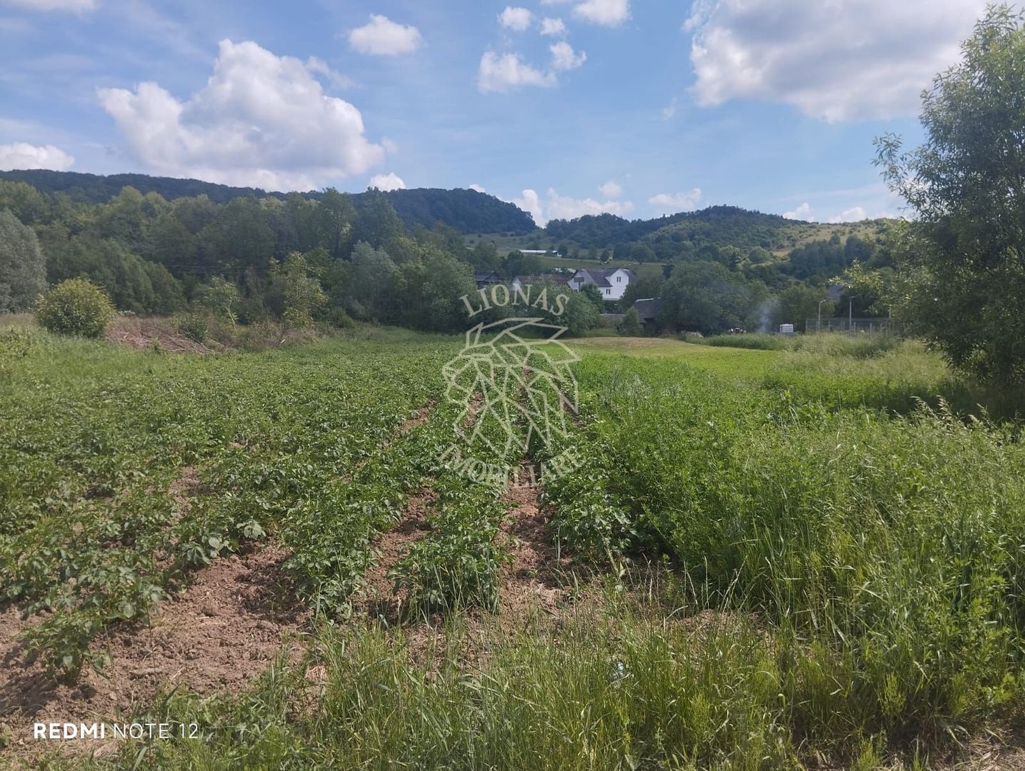 Teren 5832 mp-ideal lac, investitie, cabana, gradina-Slatinita - Poză 1