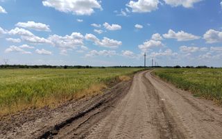 Frumusani Postavari 30 minute de Aparatorii Patriei super oferta 7 eur - Poză 1