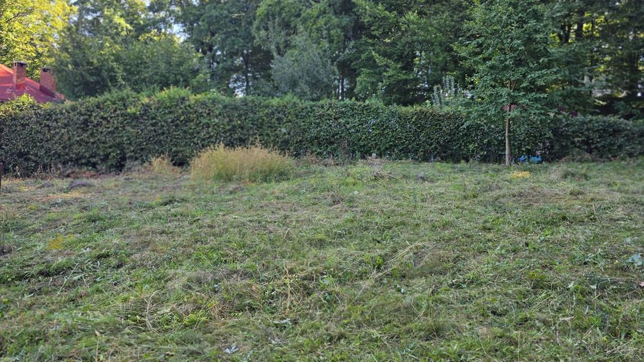 Teren cu PUZ aprobat în Făget, 2072 mp - Poză 9