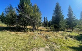 Teren Intravilan | Dealul Negru | Investiție | 1500 mp - Poză 3