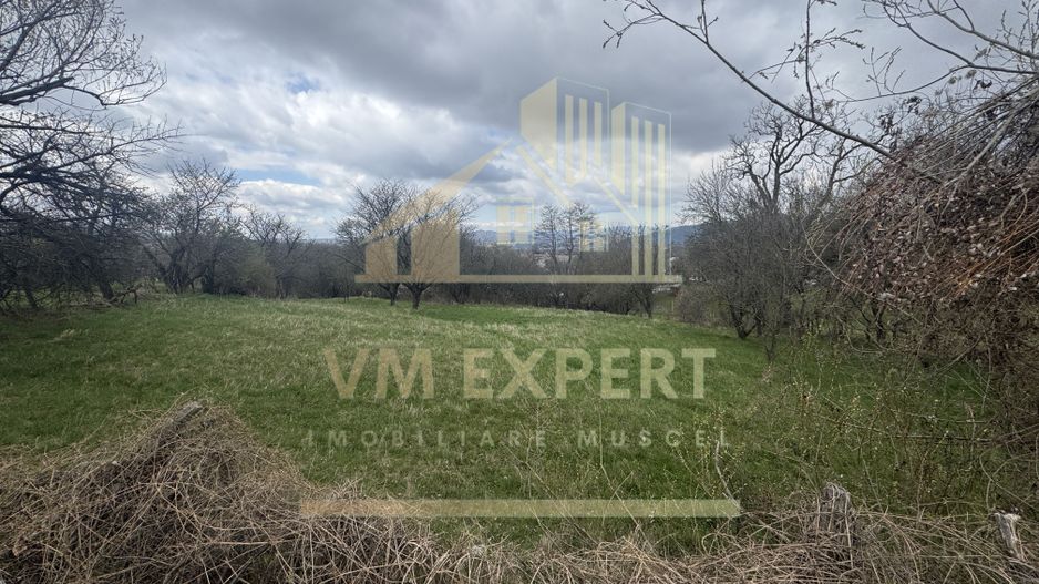TEREN INTRAVILAN 2153 MP IN VALEA MARE PRAVAT - Poză 1
