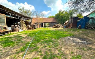 Teren Intravilan de Vânzare, Cetariu, 5450mp - Poză 6