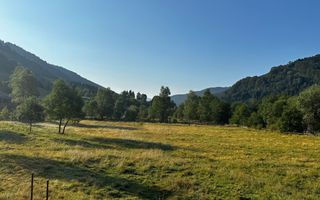 TEREN INTRAVILAN 500 MP SĂTIC- RUCĂR - Poză 1