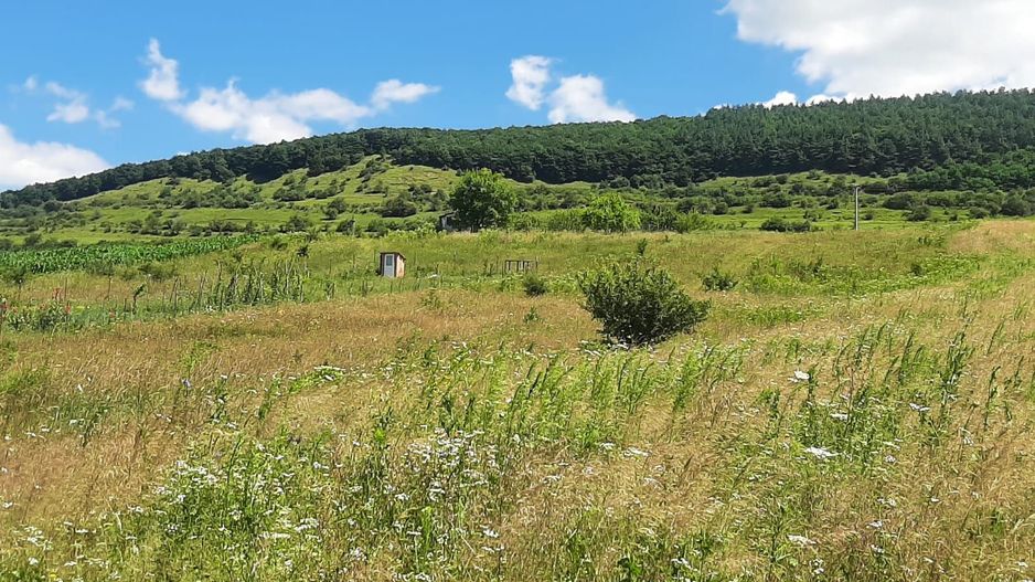 Teren de vanzare in Martinesti - Poză 3