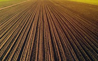 1.835 ha Fermă operațională și teren agricol (Vestul României) - Poză 5