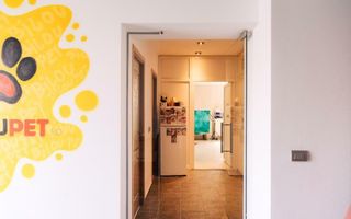 SPAŢIU VERSATIL DE VÂNZARE / ÎNCHIRIERE 211mp. Sect3. - Poză 8