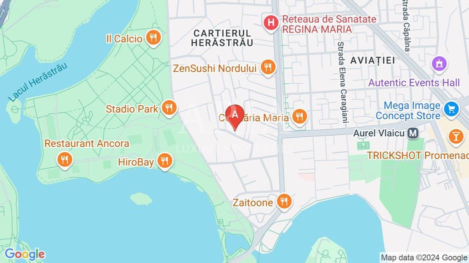 STUNNING VILLA HERASTRAU PARK - Poză 16