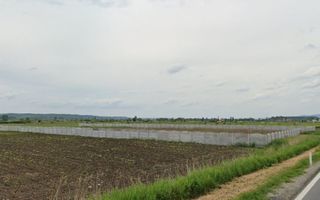 Teren Zona industriala / 5000mp - Poză 3