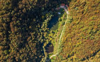 Domeniu în satul Căprioara - Poză 21