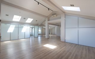 Chirie, spațiu de birouri, 505 mp, strada Mitropolit Bănulescu-Bodoni, - Poză 22