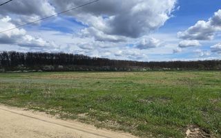 Teren Snagov Ciofliceni cu  pădurea la vedere - Poză 7