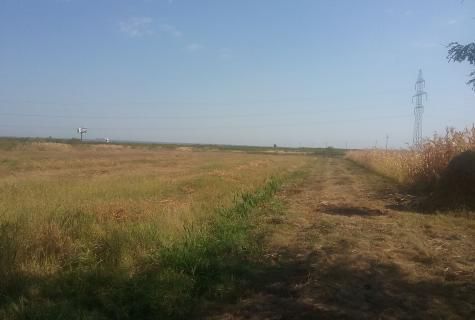 teren comuna Ratesti sat Patuleni  judet Arges - Poză 3