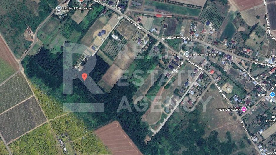 Teren 2 ha Sorogari – deschidere la drum, oportunitate investiție Iași - Poză 4