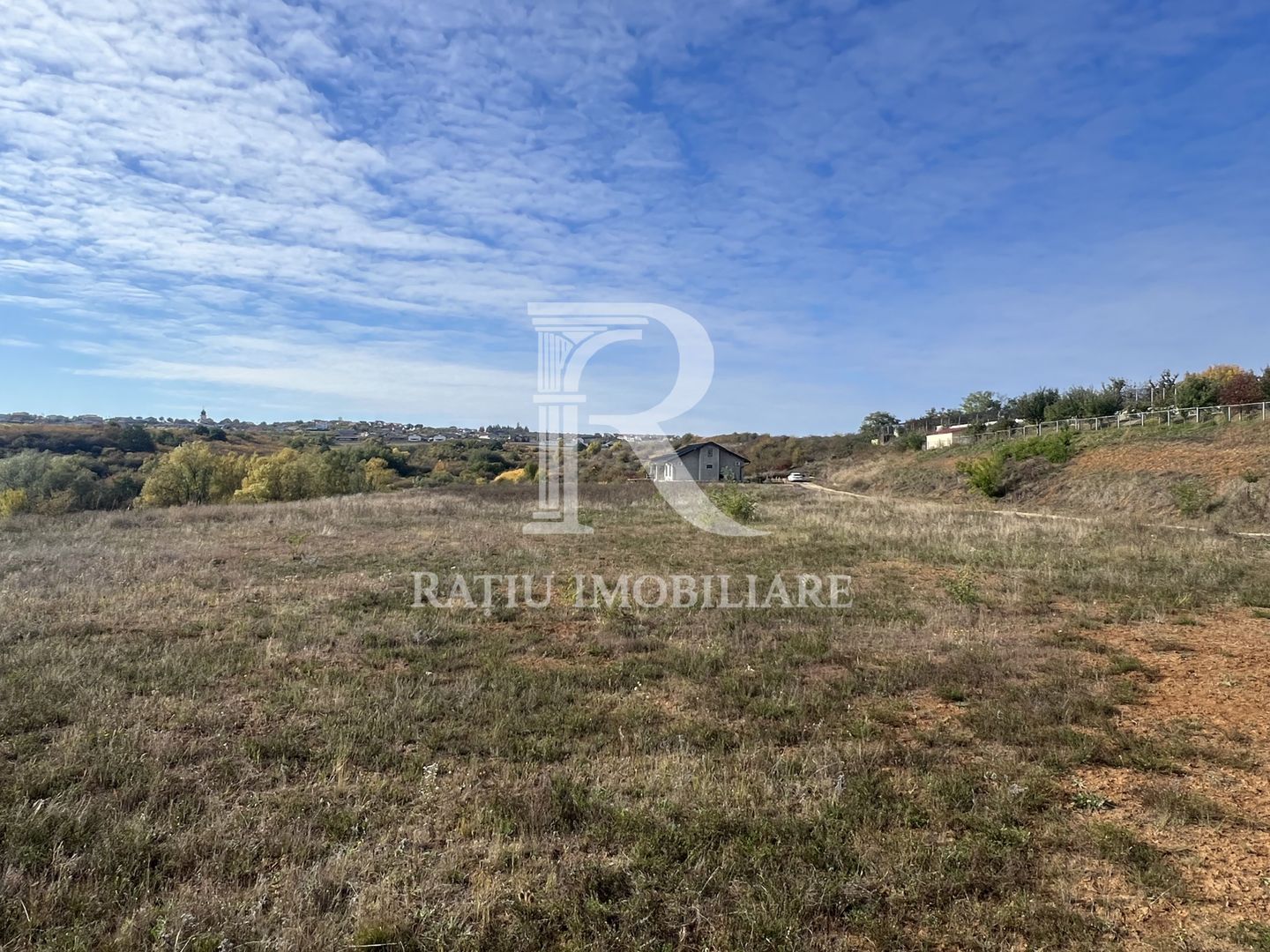 Teren intravilan 3961 MP | Paleu | Bihor - Poză 4