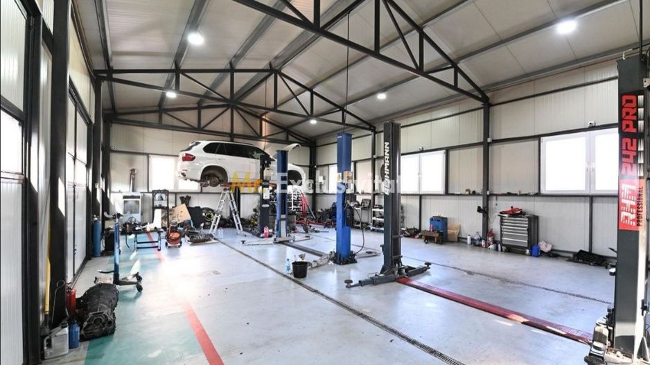 De vanzare proprietate Podari – 2 hale industriale + casa și spatiu recreativ - Poză 1