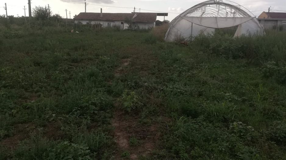 Ferma de vânzare - Poză 9