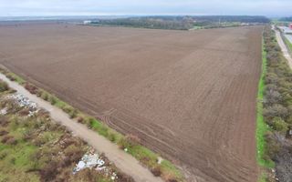 Teren Intravilan Centura Pantelimon Moara Domneasca - Poză 8