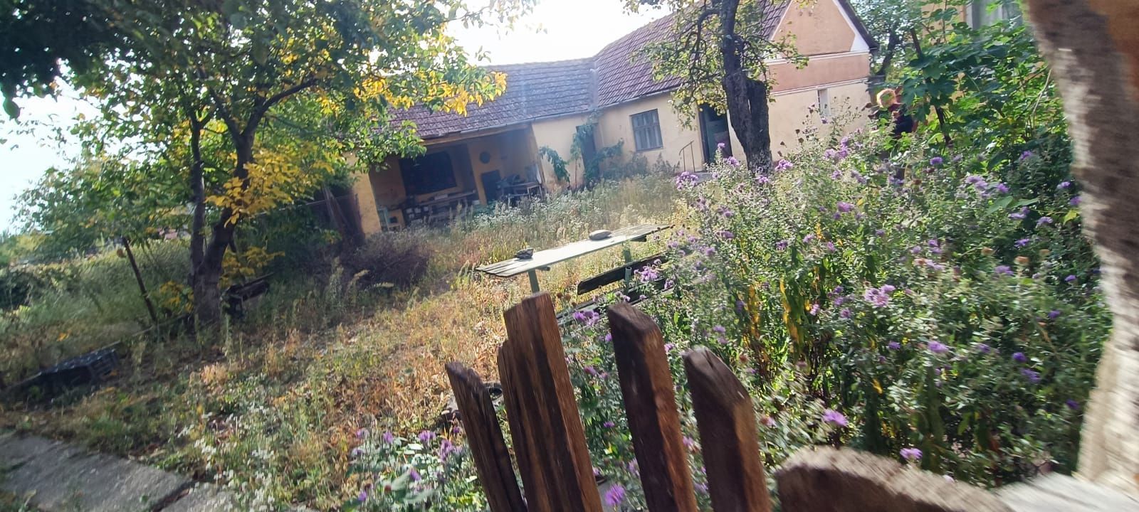 🏡  Casă de Poveste în Șiria, Arad- Locație Rară - Poză 17