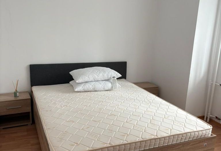 Apartament 2 camere, 65 mp, ParkLake, pet friendly - Poză 5