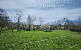 De vanzare casa 6 camere 8142 mp teren in Oarda de Sus - Poză 33