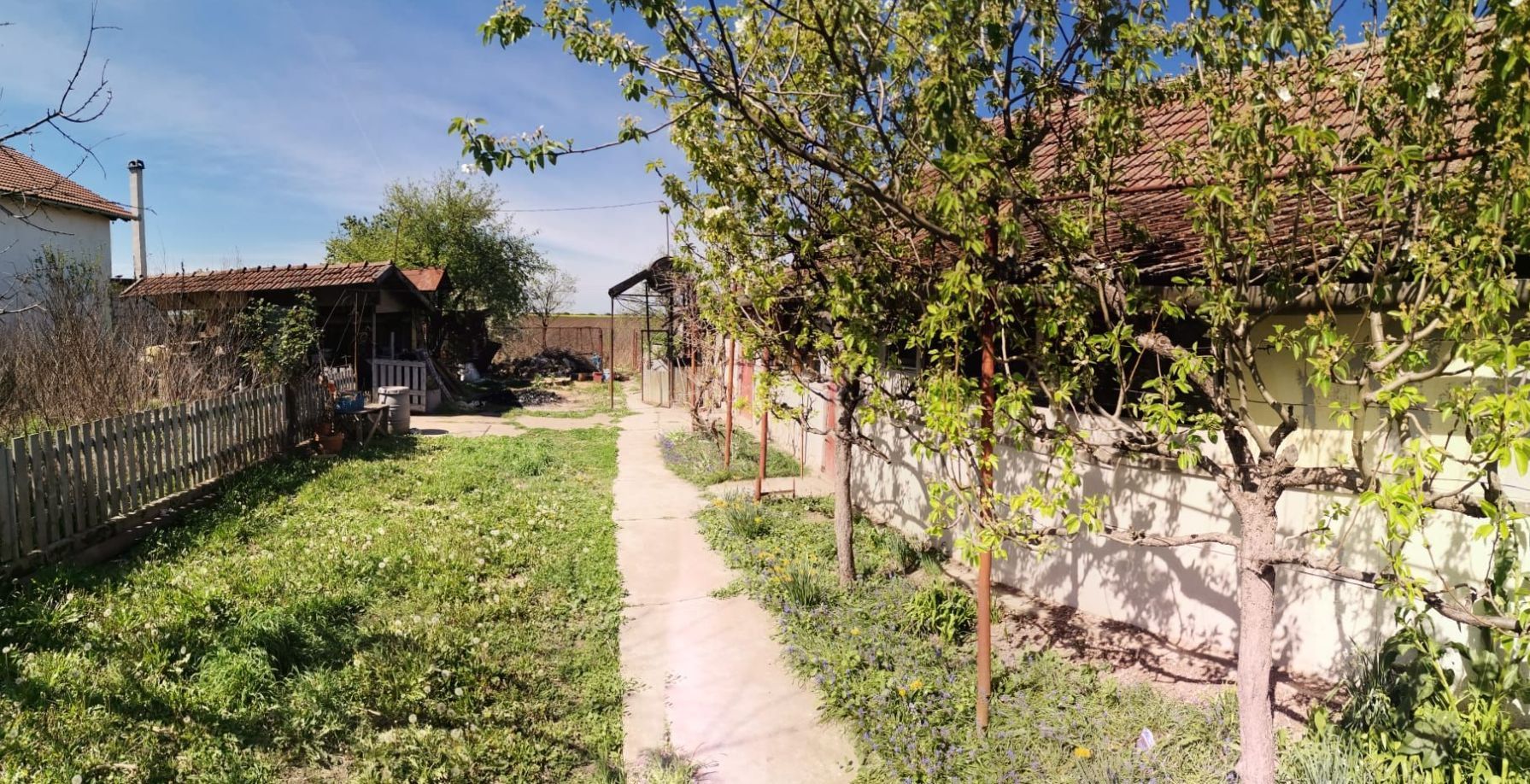 Casa de vanzare Variasu Mare, Arad - Poză 2