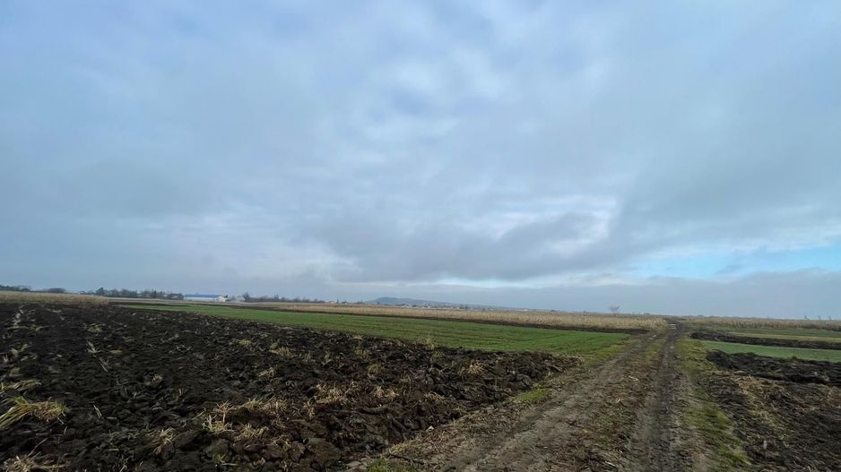 TEREN EXTRAVILAN 13 ARI | FRONT STRADAL 13 M | MARGINEA - Poză 9