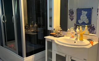 Vila S+P+1+M Lapus, str Paunitei - Poză 10