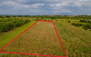 Vânzare, teren, 50 ari, str. Tineretului, Trușeni - Poză 3