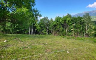 Teren Drumul Carului, Moieciu Suprafață: 29.595 mp | Intravilan - Poză 5