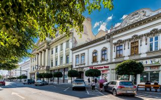 Apartament istoric pe Bulevardul Revoluției - Poză 11