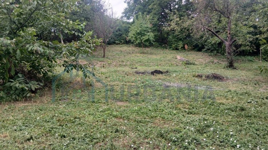 Teren intravilan 1.450 mp cu casă și anexă – Podu Iloaiei, Iași - Poză 5