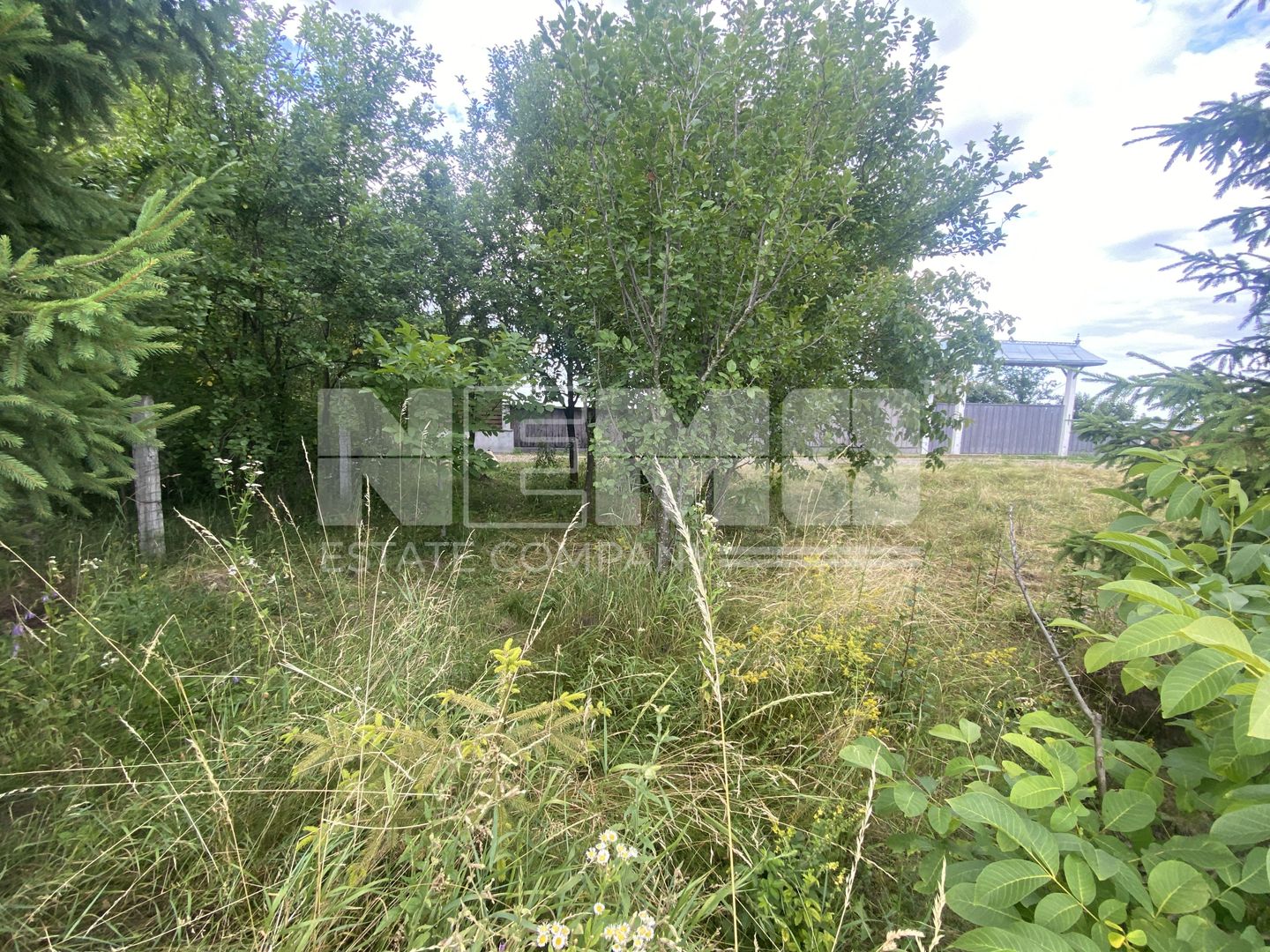 Teren Intravilan | 20 Ari | Frătăuții Noi - Poză 3