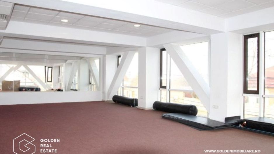 Spatiu modern 200 mp, destinatii multiple, Calea Radnei - Poză 4