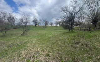 TEREN INTRAVILAN 4365 MP POENARII DE MUȘCEL  JUDEȚUL ARGES - Poză 20