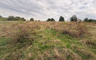 Teren de vânzare în Putna | 6.400 mp | 56 m front stradal - Poză 8