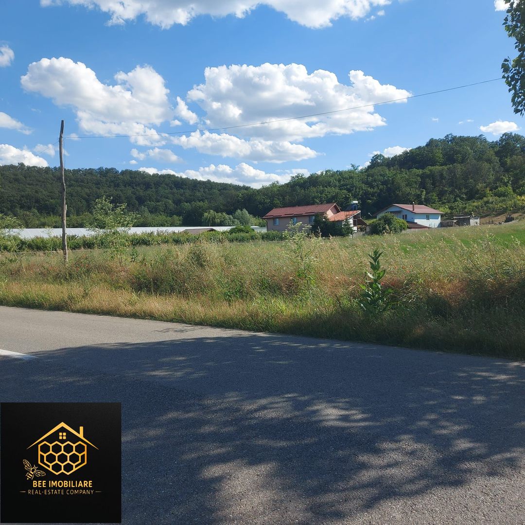 2 parcele teren intravilan, 1200 mp - Mihaita - Cotofenii din Dos - Poză 5
