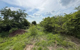 Teren intravilan 498,02 mp langa pădure , strada privata Corbeanca - Poză 11