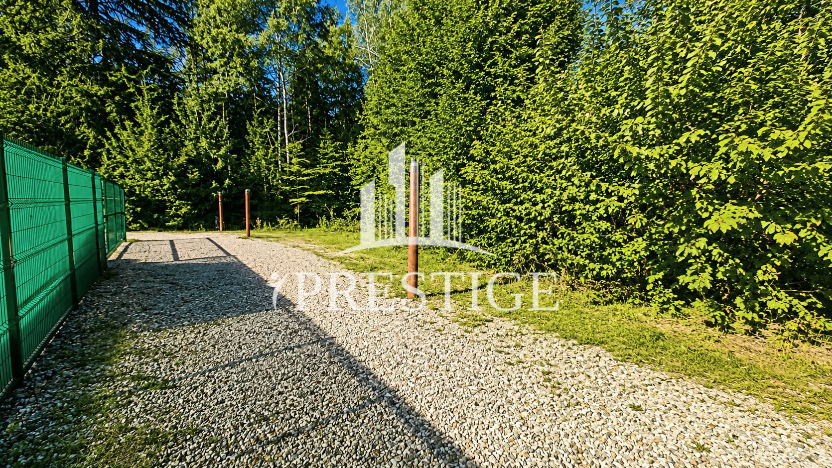 TEREN INTRAVILAN 744 MP | VALEA AVRIGULUI | IDEAL PENTRU CABANĂ - Poză 3