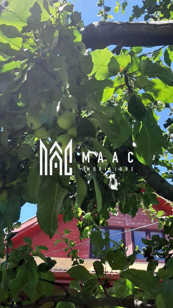 Casa 3 camere | 60 mpu | Tocile - Poză 5