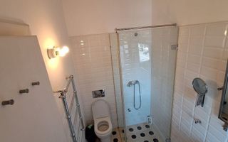 Persoana juridica inchiriaza garsoniera in zona centrala - Poză 4