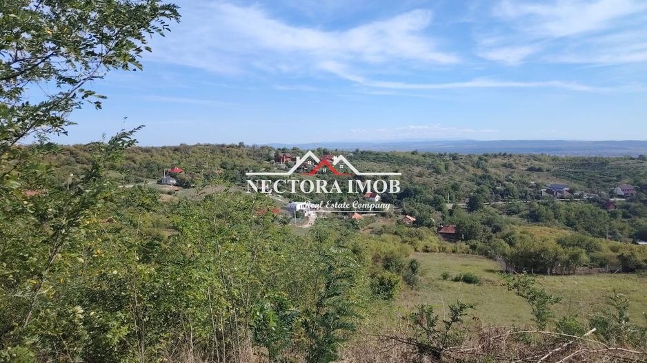 NECTORA IMOB-Teren Saldabagiu de Munte, 2350 mp, 21 ml front stradal - Poză 1