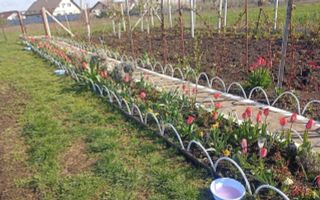 Teren Intravilan 470 mp   Horlești, Comuna Rediu (Proprietar) - Poză 9