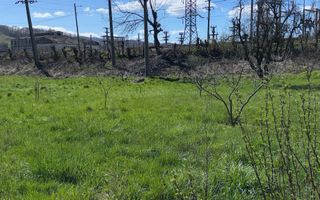 CASA 5 CAMERE TEREN 7500 MP CAMPULUNG - Poză 36