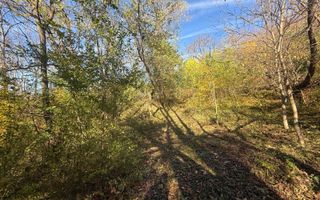 Teren langa pădure 6400mp+casa demolabila-deschidere 35 ml - Poză 8