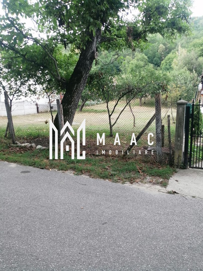 Teren Intravilan 10.000 mp | Livadă + Pădure de salcâm | Bărbătești - Poză 5