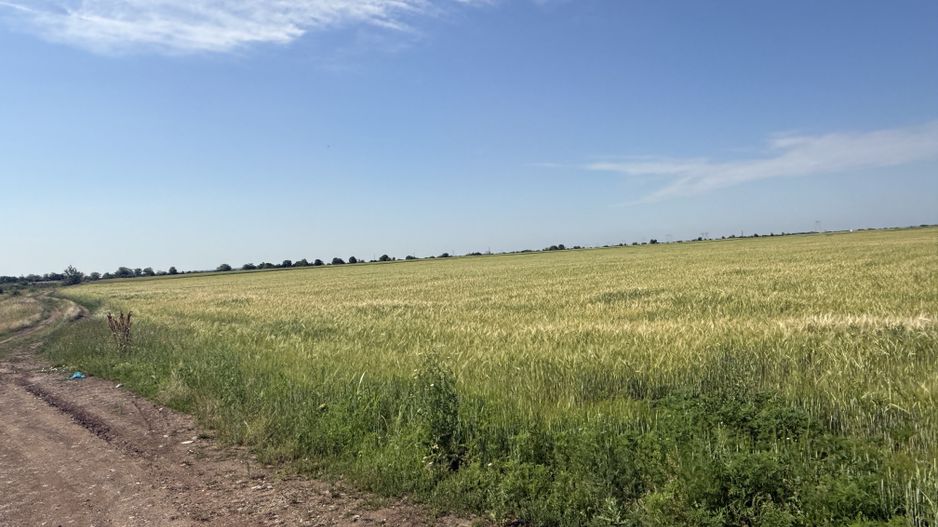 Teren 10 hectare pretabil pt panouri solare-Aricesti Rahtivani - Poză 8